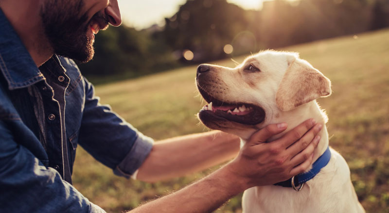 CNN Blames Pets for ‘Climate Change,’ Pushes ‘Insect-Based Food’ Consumption