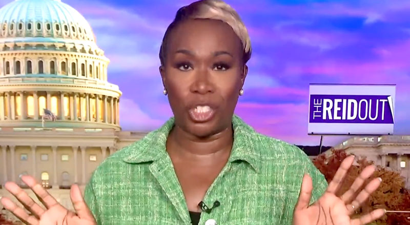 MSNBC’s Joy Reid Trashes Thanksgiving