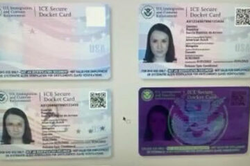 Biden’s Plan for ‘ICE ID’ Cards for Illegal Immigrants Exposed in Leaked Images