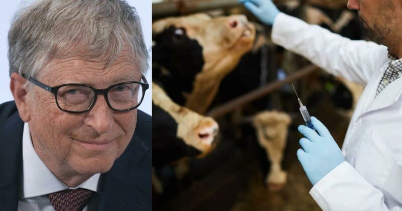 Bill Gates Unveils Plan to Fight ‘Climate Change’ by Targeting Food Supply