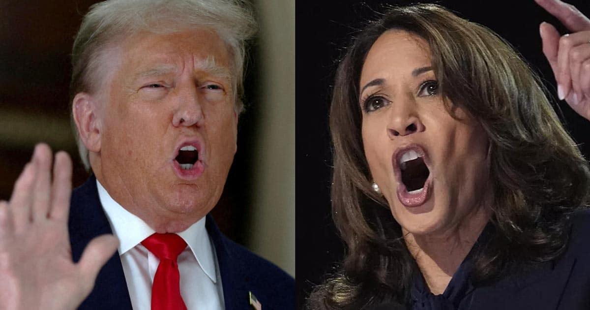 Trump: Would-Be Assassin 'Acted on' Kamala Harris' 'Rhetoric' - Democrats 'Are the Real Threat' - Slay News