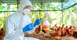 USDA Moves to Mass-Vaccinate Food Supply