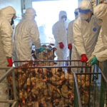 Scientists Develop Deadly Weaponized Strain of ‘Bird Flu’ Using Gain-of-Function Research