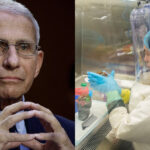 Fauci’s U.S Biolab Engineered Covid to Cross Blood-Brain Barrier, Spread More Rapidly