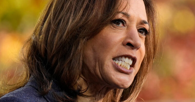Kamala Harris Suffered Expletive-Filled Meltdown After She Was Grilled on Biden’s Decline