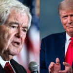 Newt Gingrich Calls on Trump to ‘Eliminate’ Activist Judges to End ‘Dictatorship’