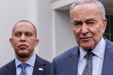Majority of Democrats Disapprove of Party Lawmakers in Congress, Poll Shows